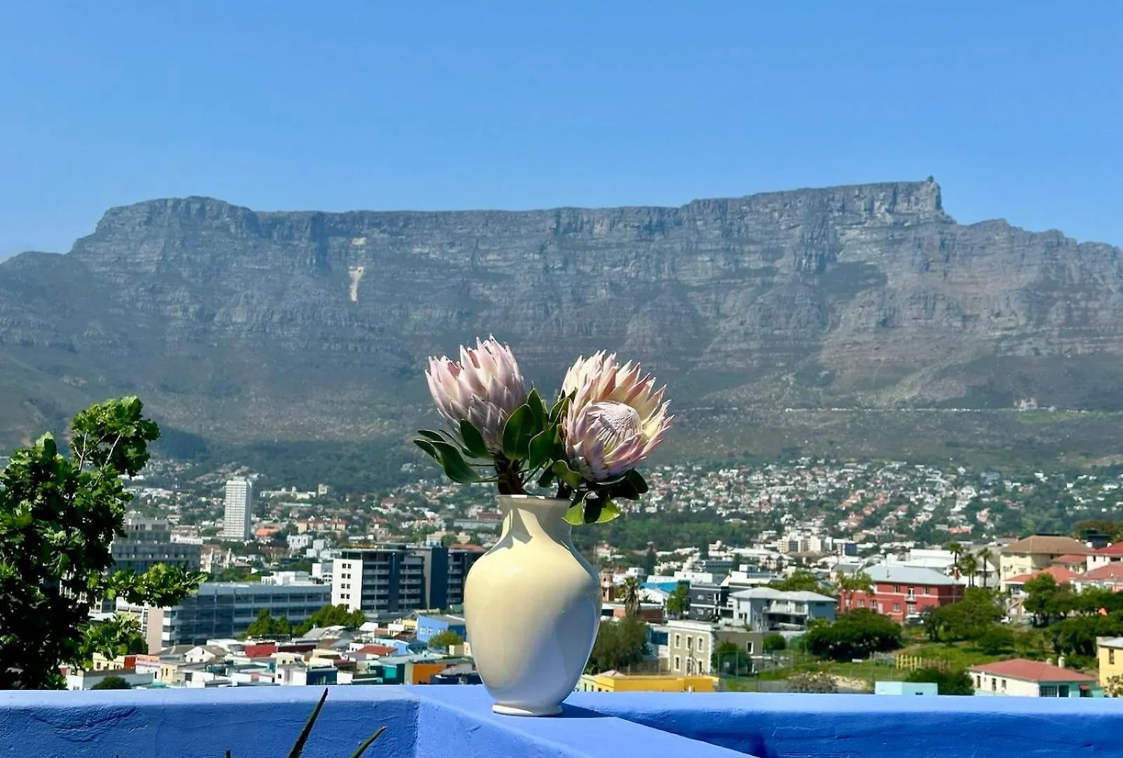 Casa Finchette Rooftop Apartment With Panoramic Views Of Table Mountain Kapstadt Südafrika